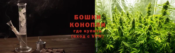 трава Абаза