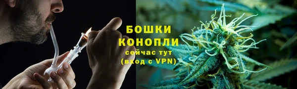 PSILOCYBIN Алзамай