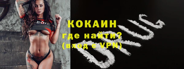 дмт Алексин