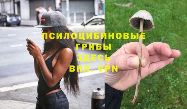 трава Абаза