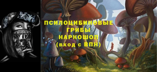 дмт Алексин